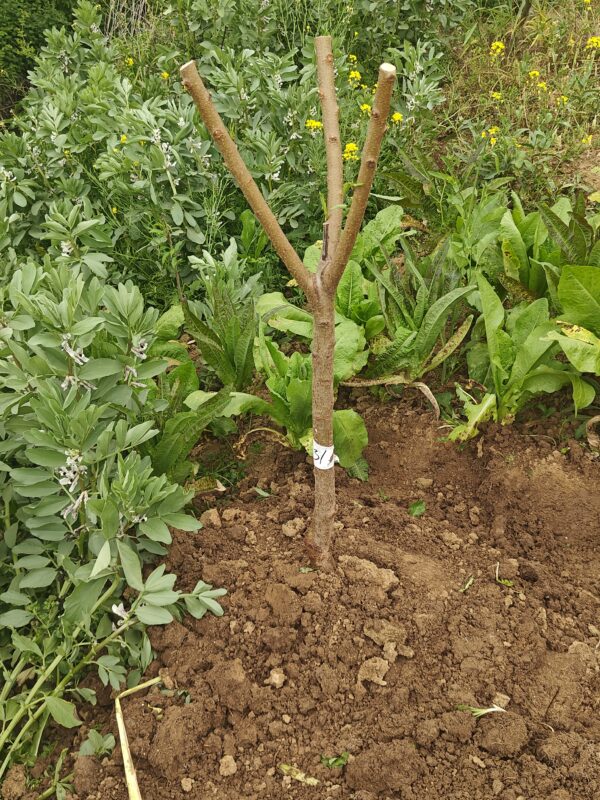 日常随笔-航修札记