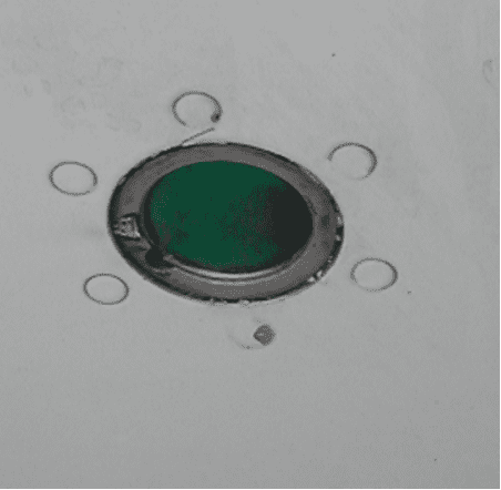 20251018224237287-image